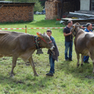 DSC_0094.JPG