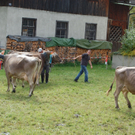 DSC_0095.JPG
