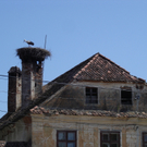 Dorfszernerie in Prejmer - Kopie_jpg-1286105901