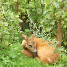 DSC09439.JPG