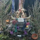 DSC02720_JPG-1286110360
