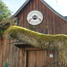 Schüblingschiessen in Arbogast