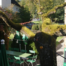 Sch__tzengarten_JPG-1286111322
