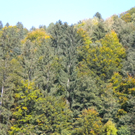 Bild 002_jpg-1286120033