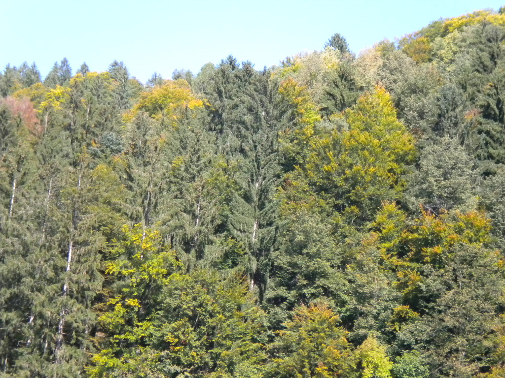 Bild 002_jpg-1286120033