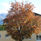 Bild 004_jpg-1286120055