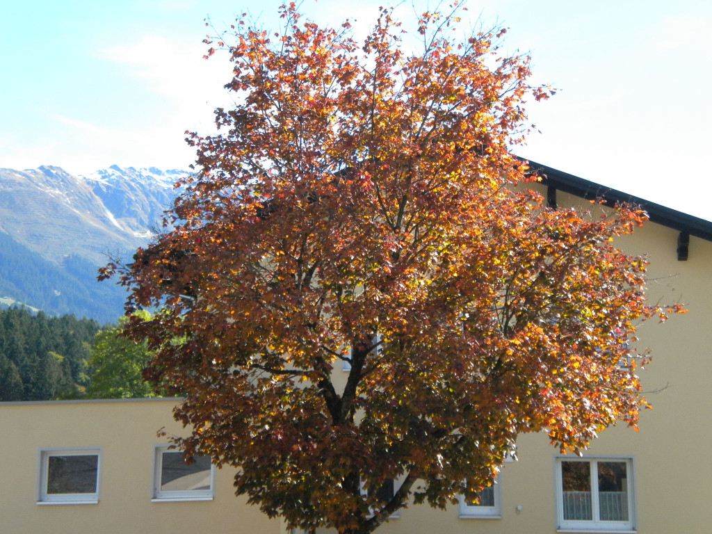 Bild 004_jpg-1286120055