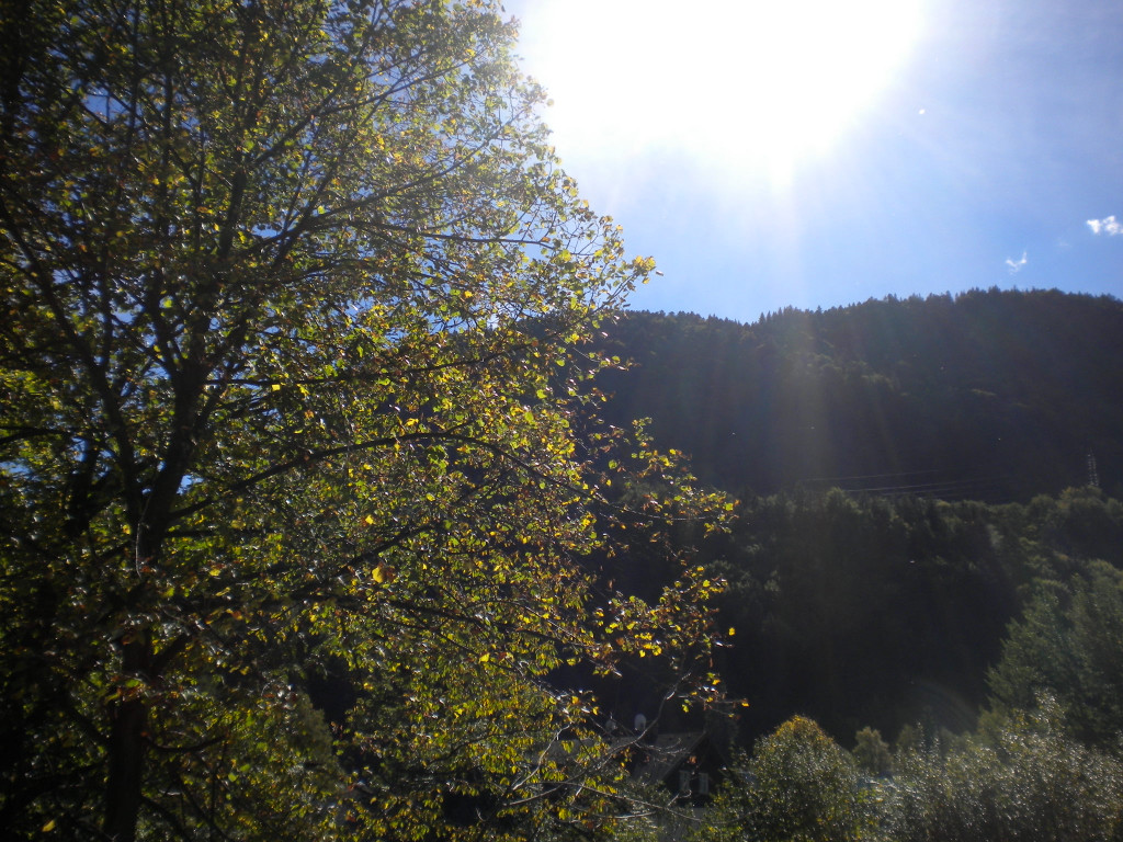 Bild 005_jpg-1286120075