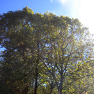Bild 006_jpg-1286120096
