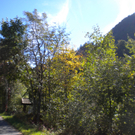 Bild 008_jpg-1286120114