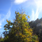 Bild 013_jpg-1286120156