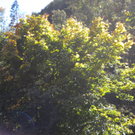 Bild 015_jpg-1286120177