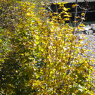Bild 018_jpg-1286120223