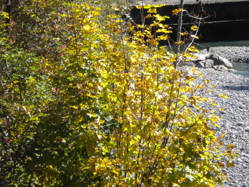 Bild 018_jpg-1286120223