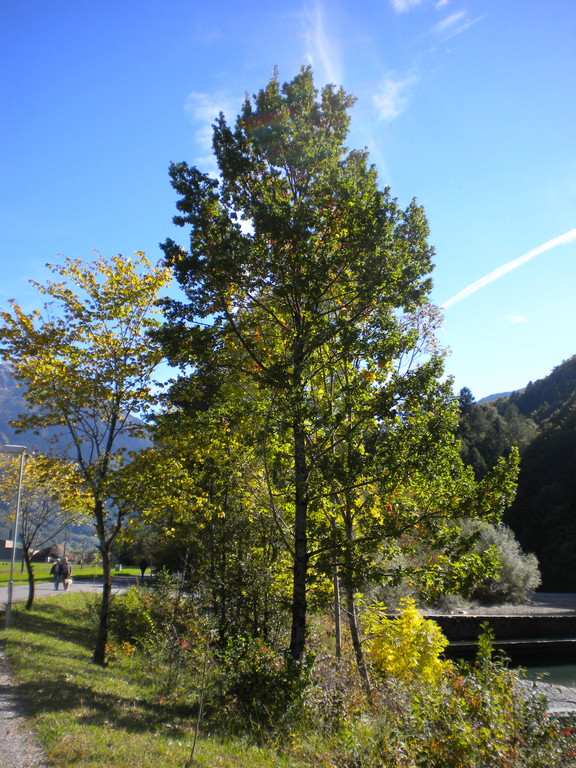 Bild 020_jpg-1286120257