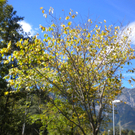 Bild 021_jpg-1286120274
