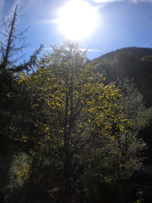 Bild 022_jpg-1286120290
