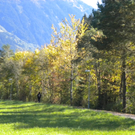 Bild 024_jpg-1286120324