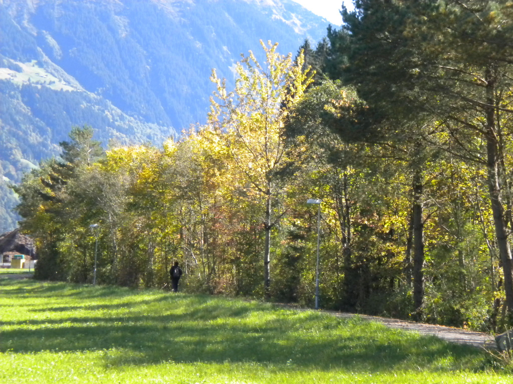 Bild 024_jpg-1286120324