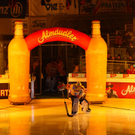 EBEL: Vienna Capitals - Olimpija Laibach 5:2 