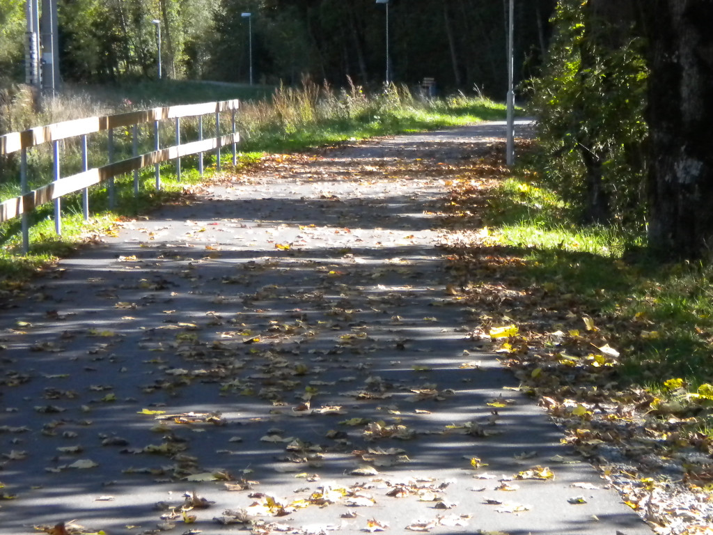 Bild 029_jpg-1286120357