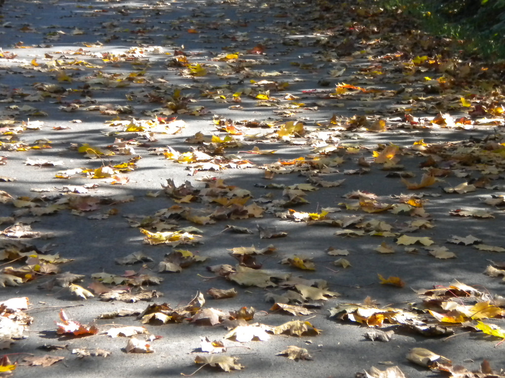 Bild 030_jpg-1286120374
