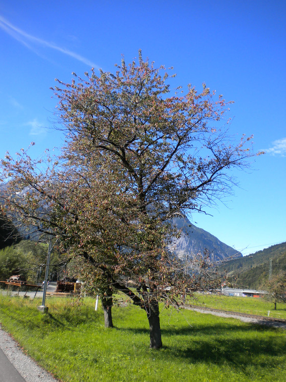 Bild 036_jpg-1286120446