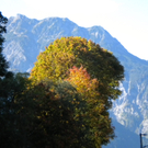 Bild 037_jpg-1286120463