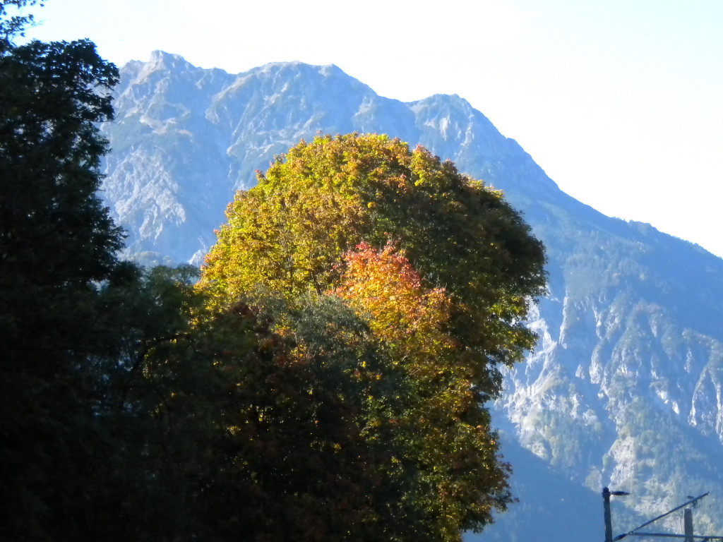 Bild 037_jpg-1286120463