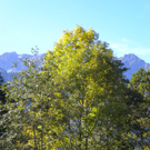Bild 038_jpg-1286120480
