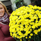 Herbstmarkt