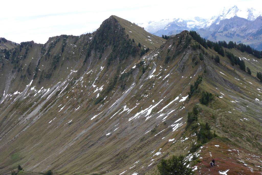 P1080029.JPG