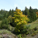 P1080048.JPG