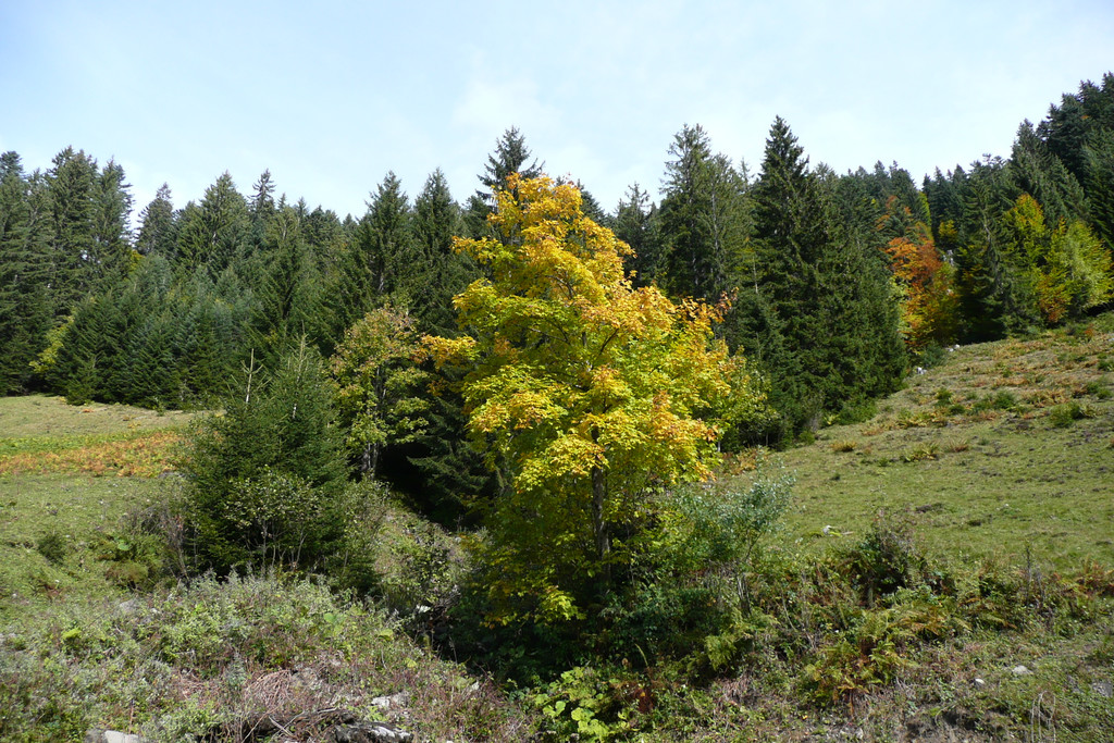 P1080048.JPG