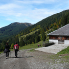P1080049.JPG