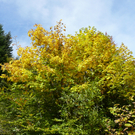 P1080052.JPG