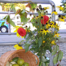 PA030095_JPG-1286136483