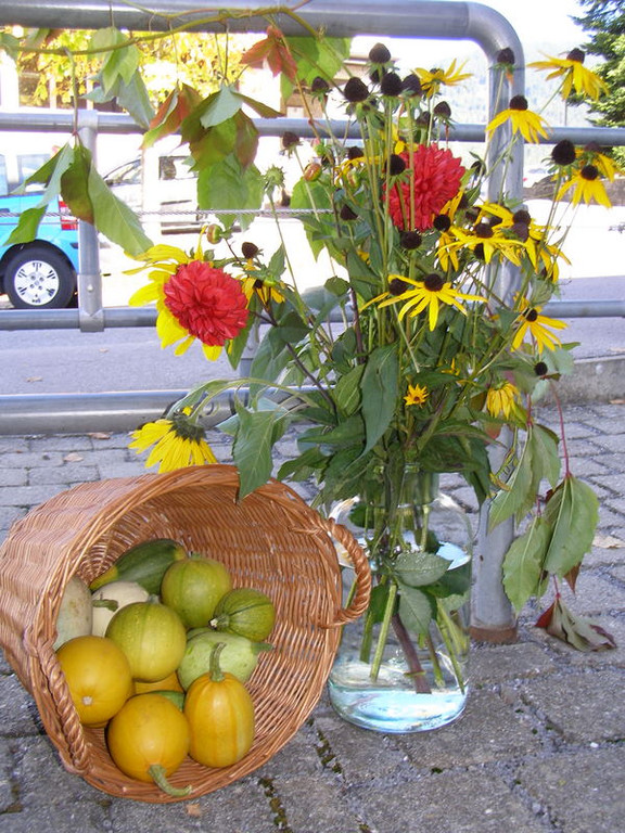 PA030095_JPG-1286136483