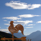 PA030116_JPG-1286136553