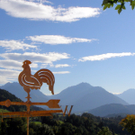 PA030118_JPG-1286136561