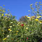 PA030126_JPG-1286136585