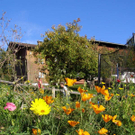 PA030127_JPG-1286136594