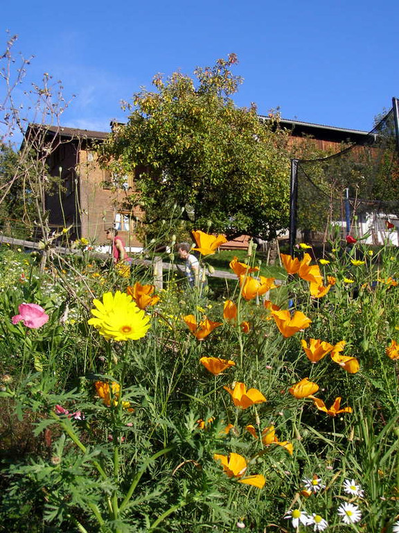 PA030127_JPG-1286136594