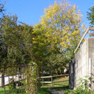 PA030130_JPG-1286136601