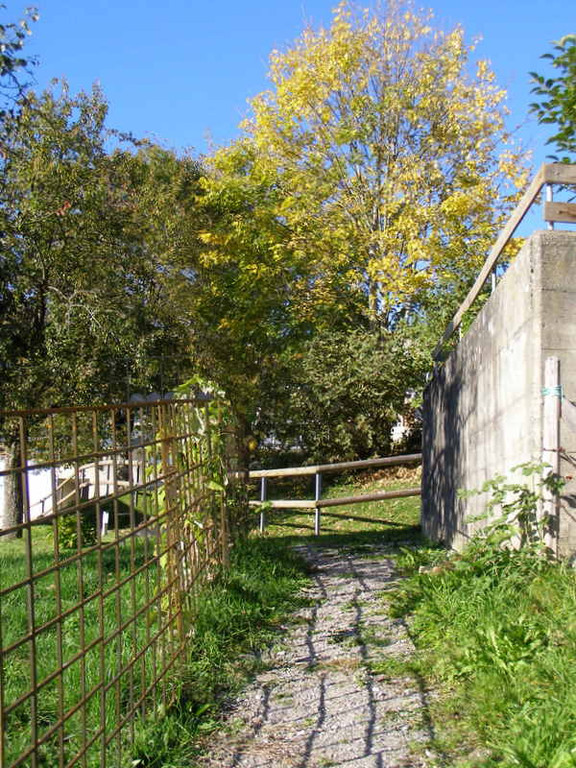 PA030130_JPG-1286136601