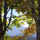 PA030138_JPG-1286136635