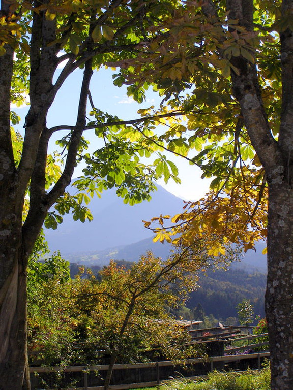 PA030138_JPG-1286136635