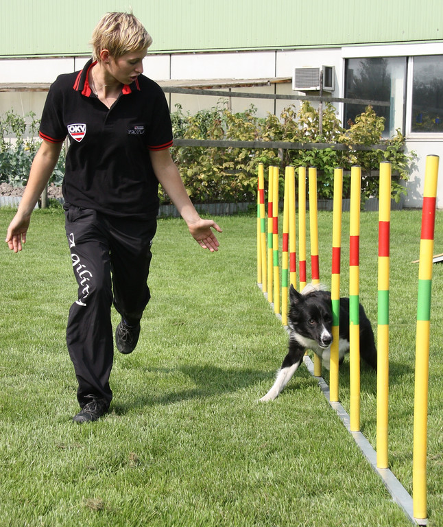 Agility Weltmeisterin Frick   09 050_jpg-1286140539