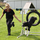 Agility Weltmeisterin Frick   09 101_jpg-1286140562