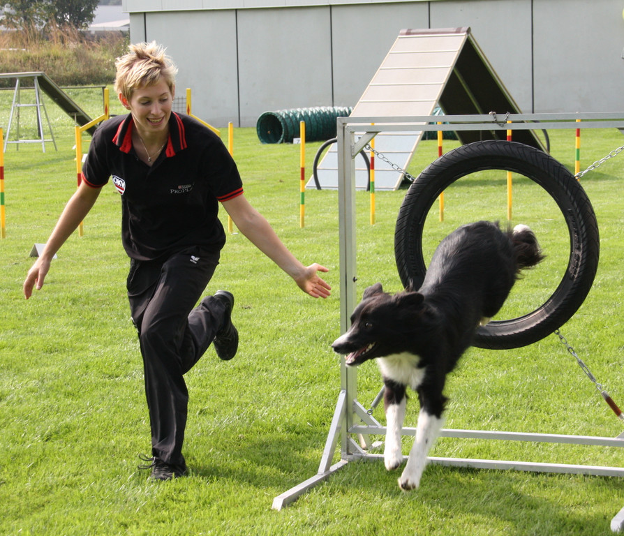 Agility Weltmeisterin Frick   09 101_jpg-1286140562